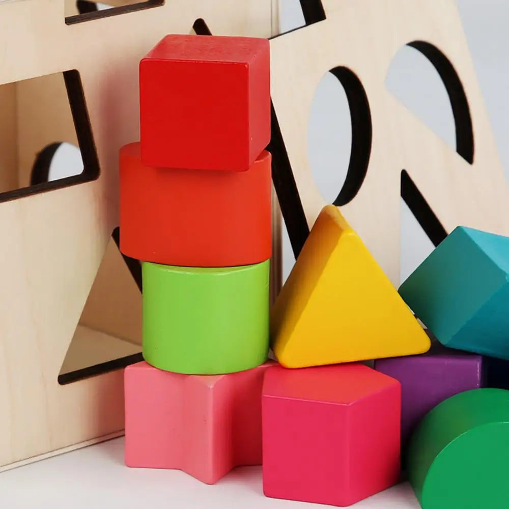 Montessori Shape Sorter Wooden Sorting Develop Fine Motor Skills Toy