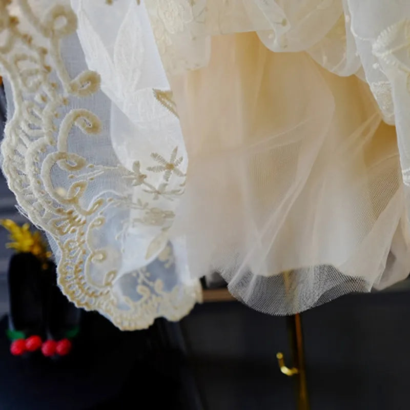 New Baby Girl Princess Vintage Lace Dress Spring Autumn Toddler Dress