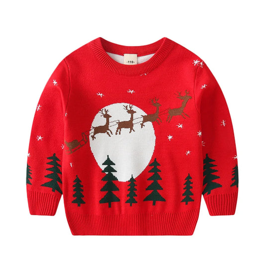 Liam Autumn Winter Little Boy Sweater