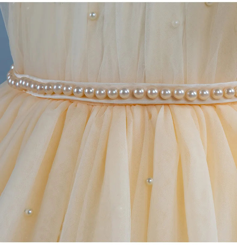 Baby Girl Princess Dress Girls' Daily Dresses Tulle Ball Gown Kid Girls Clothes