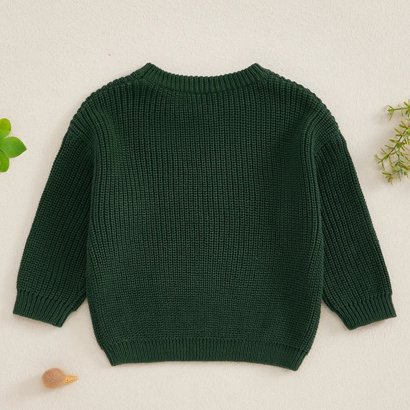 Ivan Crew Neck Long Sleeve Sweater