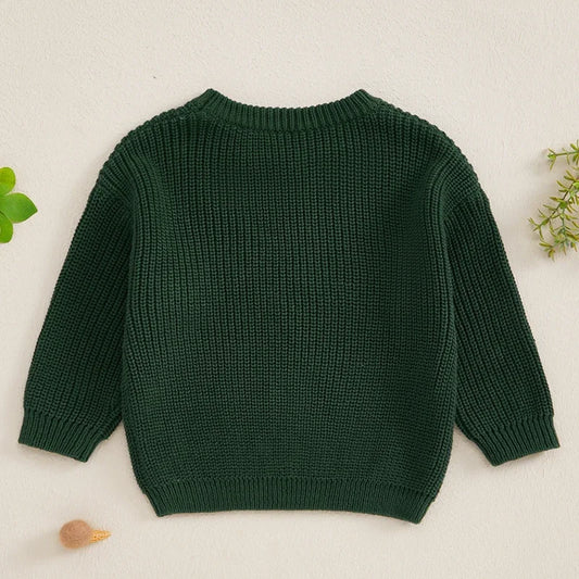 Ivan Crew Neck Long Sleeve Sweater