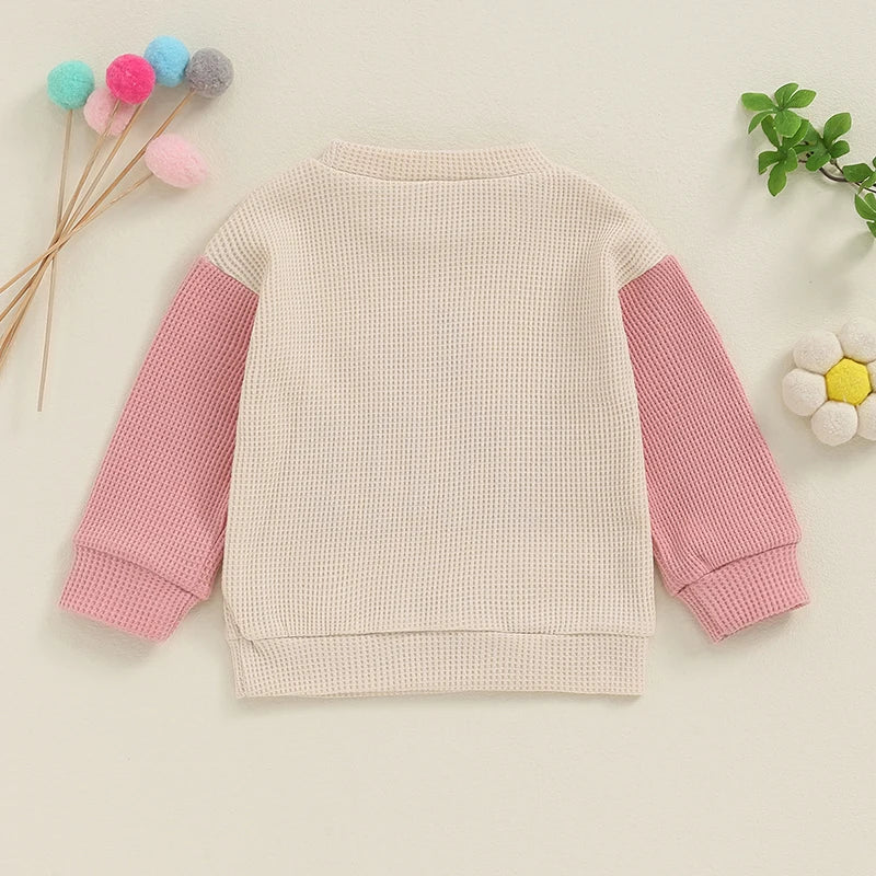 Toddler Kids Big Brother / Sister Pullover Letter Embroidery Round Neck