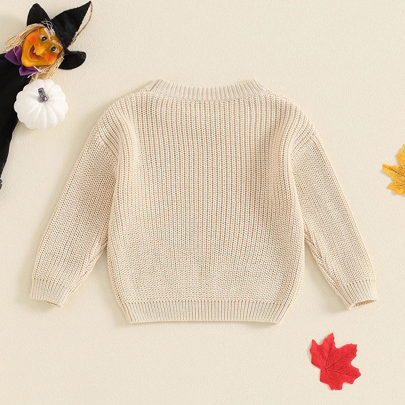 Adrian Long Sleeve Boys And Girls Winter Sweater