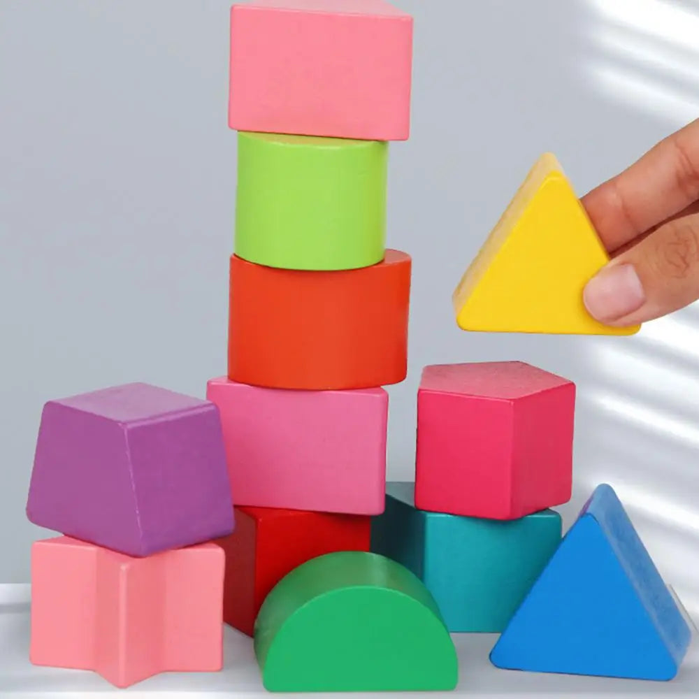 Montessori Shape Sorter Wooden Sorting Develop Fine Motor Skills Toy