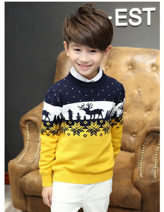 Nick Boys Double Thickening Pullover Sweater