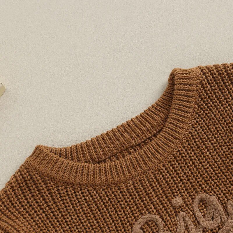 Tommy Sweaters Cotton Long Sleeve Letter Embroidery