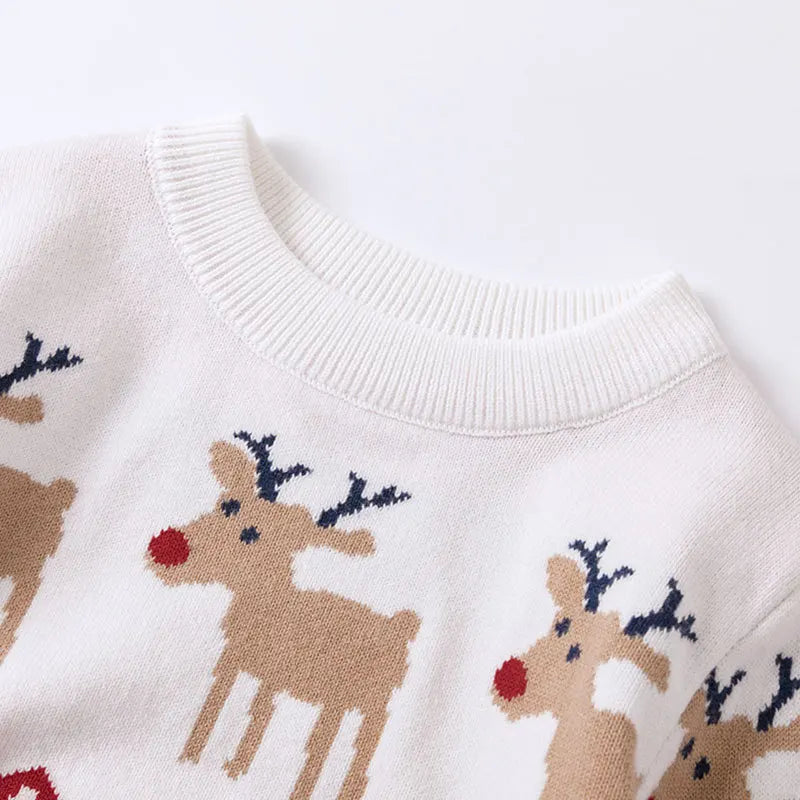 Francisco Christmas Print Boys Sweater