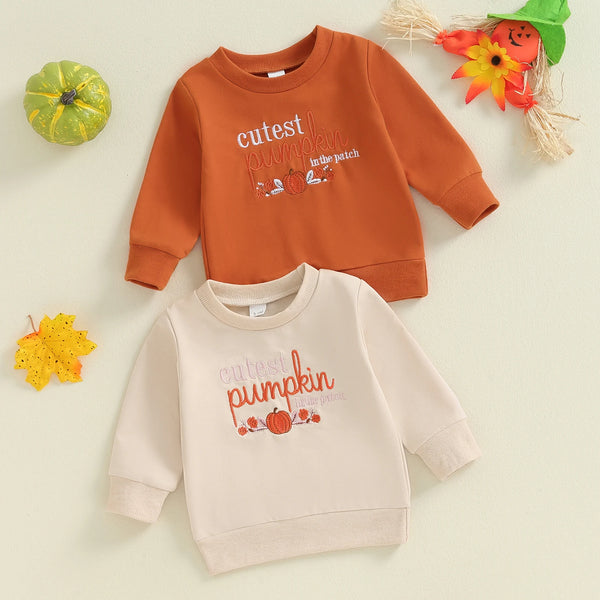 Abel Pumpkin Embroidery O Neck Fall Pullovers Sweater