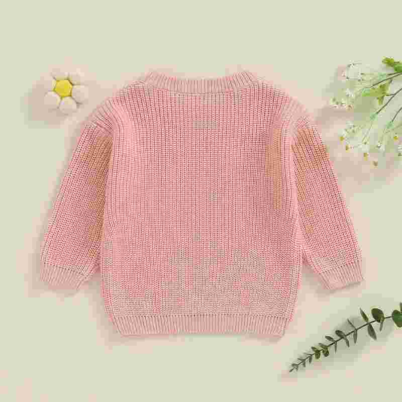 Cambria Girls Big Sister Sweater - Toddler Knit Pullover