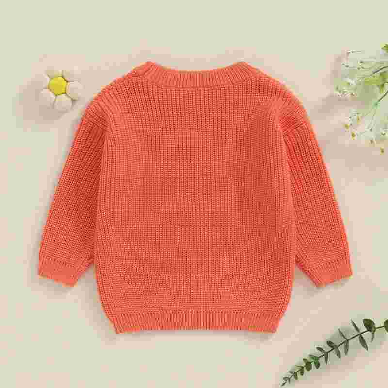 Cambria Girls Big Sister Sweater - Toddler Knit Pullover