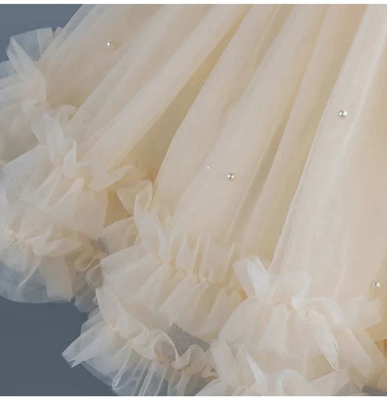 Baby Girl Princess Dress Girls' Daily Dresses Tulle Ball Gown Kid Girls Clothes