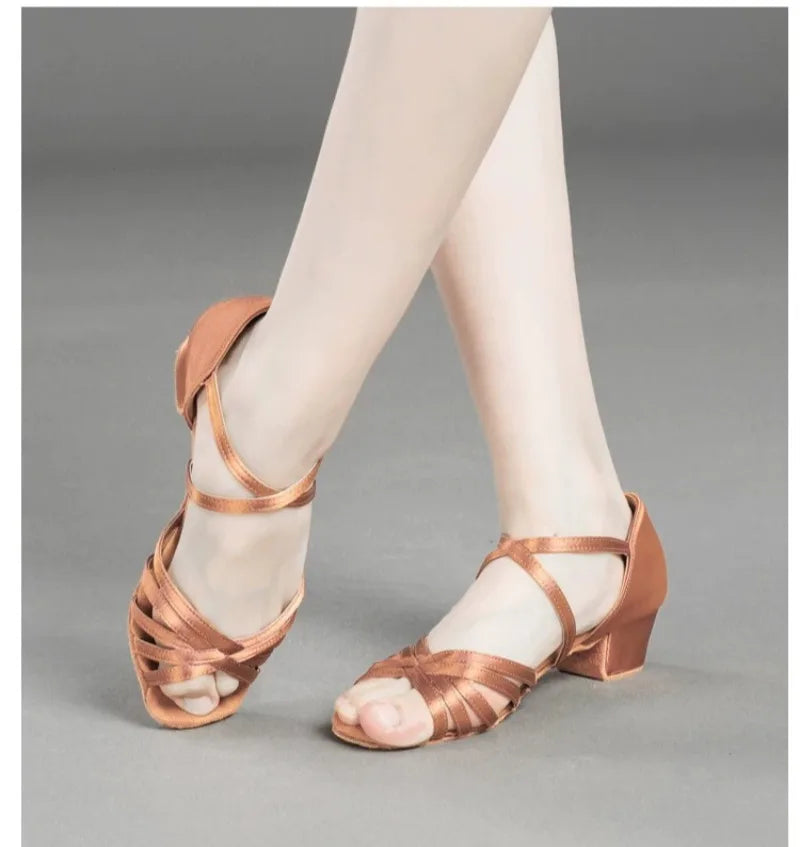 Girls Latin Dance Shoes Low Heel Soft Sole Beginner Kids Ballroom Practice Training Stage Girls Performance Dancing Footwear