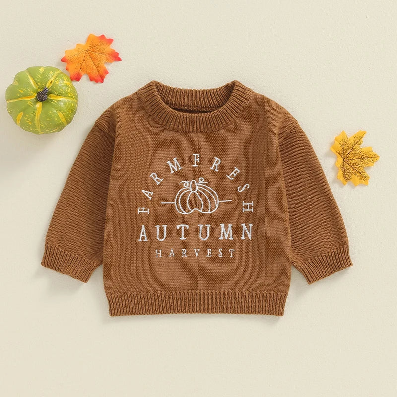 Anuel Letters Pumpkin Embroidery Sweater - GuGuTon baby store - Baby Fashion - Toddlers Outfits - Babies Outfits - Toddler Clothes - Kids Clothing - Newborn Clothes - Newborn Wear - Kids Wear - Trending Clothes - Trending Outfits - Fall Fashion - Winter Fashion - Girls Clothes - Boys Clothes - Babies Wear - Kids Accessories - KidsWear - Summer Clothes - Summer Fashion - Summer Trend - Falls Sweaters - Tops - Bottom - Jeans - Blouse - Dresses - Newborn Dresses - Toys