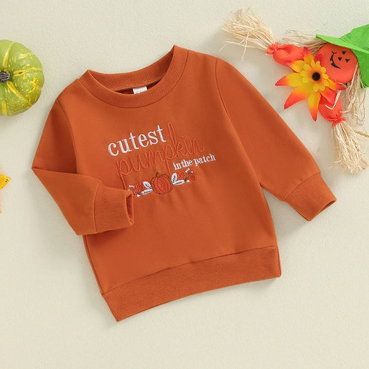 Abel Pumpkin Embroidery O Neck Fall Pullovers Sweater