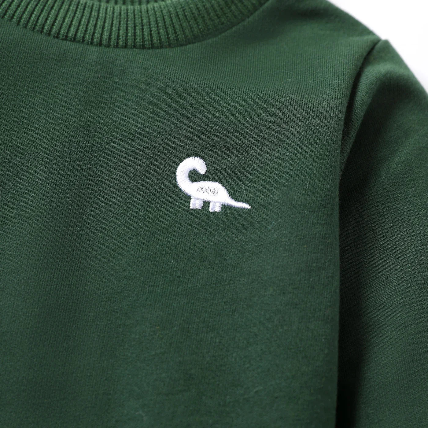 Anthony Dinosaur Embroidery Long Sleeves Sweater