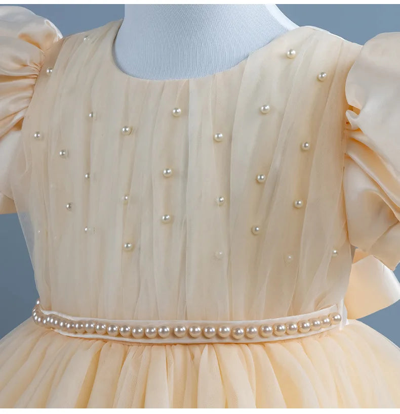 Baby Girl Princess Dress Girls' Daily Dresses Tulle Ball Gown Kid Girls Clothes