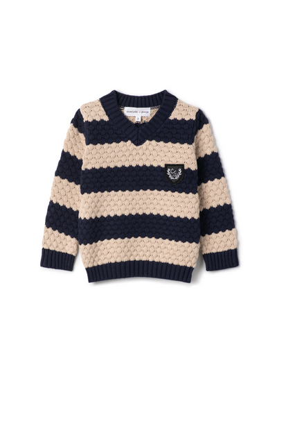 Carlos Striped Knit Vneck Sweater