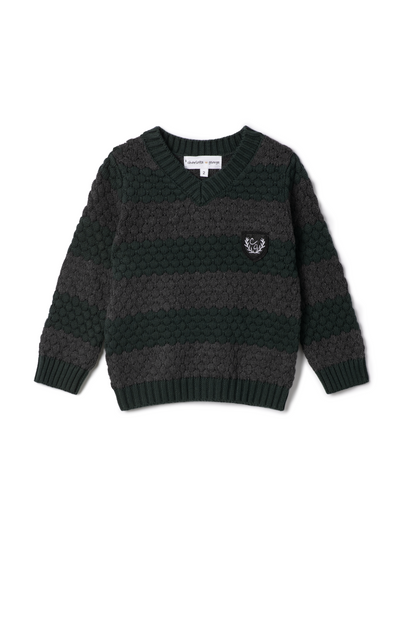 Carlos Striped Knit Vneck Sweater