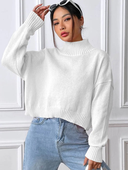Wanda High Neck Pullover Sweater Solid Color Loose
